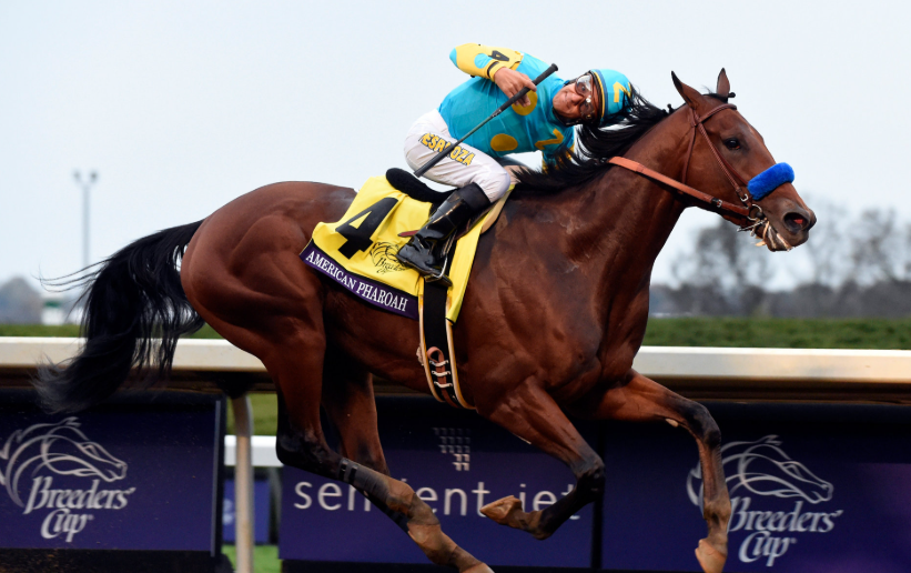 Behind the Scenes at Major Racing Events