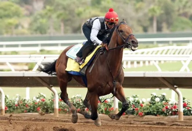 Belmont Stakes: The Test of Champions